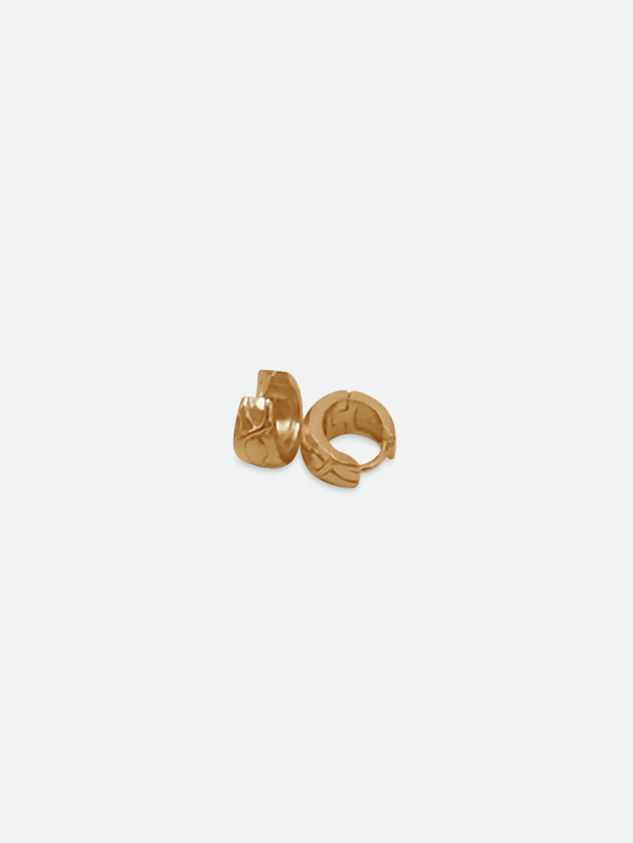 Coveted Small Hoop Earrings